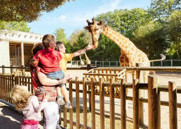 Maison De Pecheur Moderne Avec Terrasse, Proche Et Commerce - Barbecue - Wifi Gratuit - Fr-1-92-950 Дом отдыха *